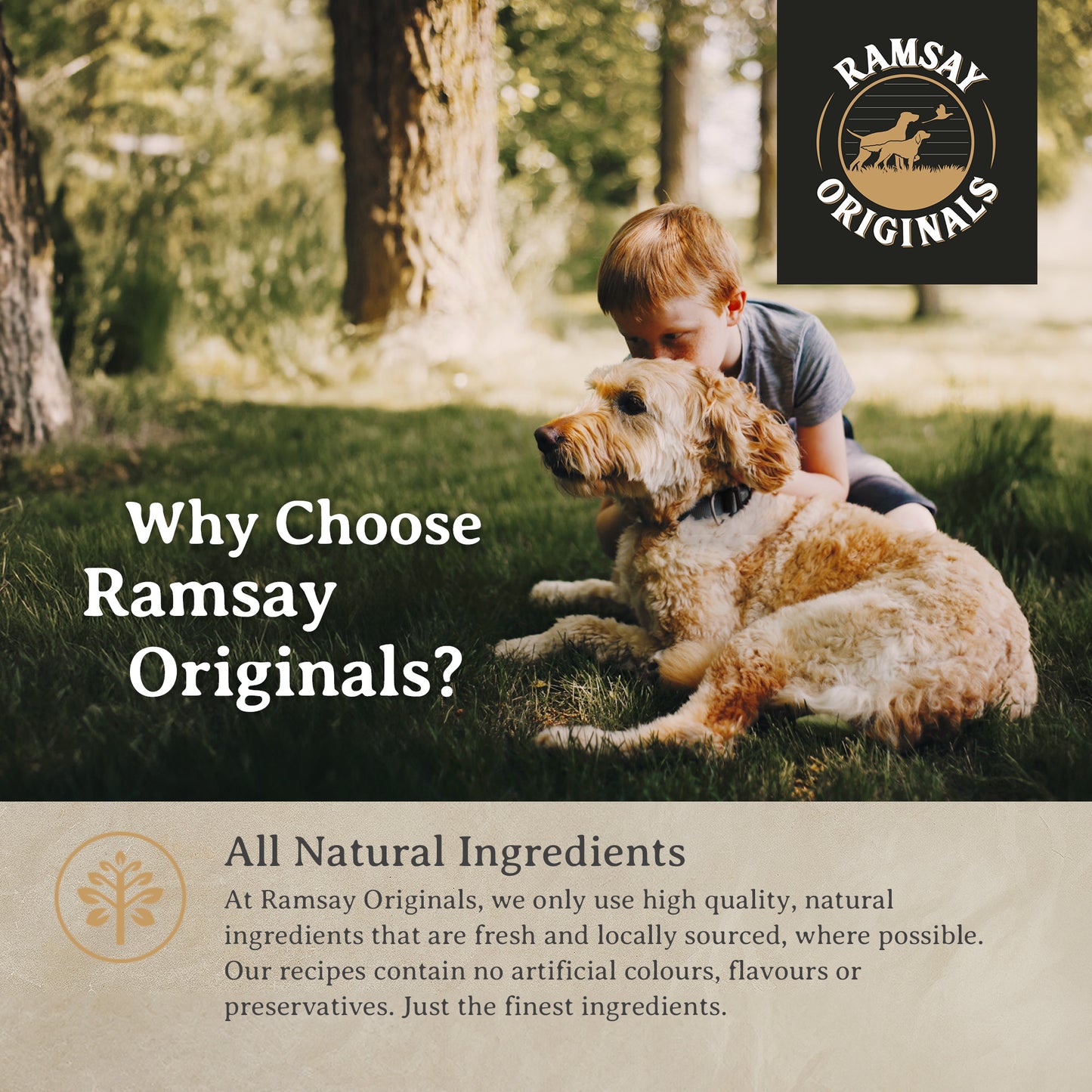 Ramsay Originals Grain Free Adult Dry Dog Food - Lamb & Potato