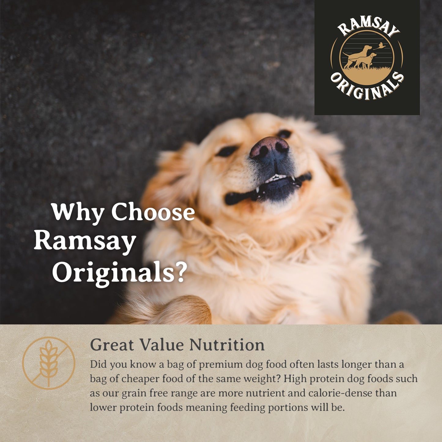 Ramsay Originals Grain Free Adult Dry Dog Food - Lamb & Potato